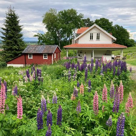 Vila Ny Flintarp Laholm Exteriér fotografie